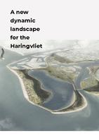 A New Dynamic Landscape for the Haringvliet