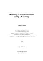 Modelling of flow phenomena during DC casting