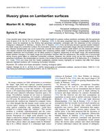 Illusory gloss on Lambertian surfaces