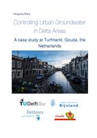 Controlling urban groundwater in delta areas