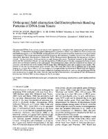 Orthogonal-field-alternation gel electrophoresis banding patterns of DNA from yeasts