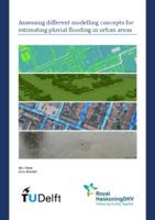 Assessing different modelling concepts for estimating pluvial flooding in urban areas