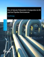 Use of Anionic Polyamide-6 Composites in Oil and Gas Pipeline Environment