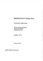 Migrating Pools in Yangtze River