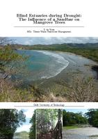Blind estuaries during drought: The influences of a sandbar on mangrove trees