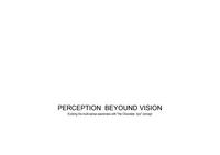 Perception beyond vision