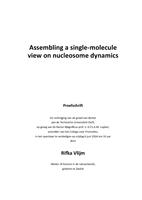 Assembling a single-molecule view on nucleosome dynamics
