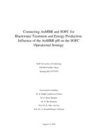 Connecting AnMBR and SOFC for Blackwater Treatment and Energy Production: Influence of the AnMBR pH on the SOFC Operational Strategy