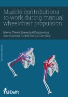 Muscle contributions to work during manual wheelchair propulsion