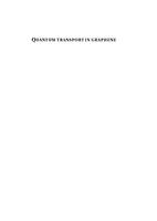 Quantum transport in graphene