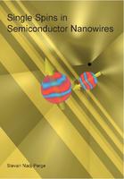 Single spins in semiconductor nanowires