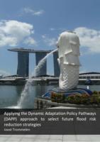 Applying the Dynamic Adaptation Policy Pathways (DAPP) approach to select future flood risk reduction strategies