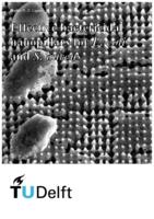 Effective bactericidal nanopillars for E. coli and S. aureus 