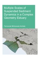 Multiple scales of suspendend sediment dynamics in a complex geometry estuary