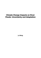 Climate Change Impacts on River Floods: Uncertainty and Adaptation
