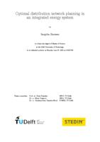 Optimal Distribution Network Planning in an Integrated Energy System