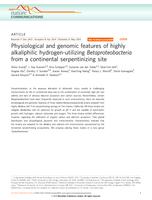 Physiological and genomic features of highly alkaliphilic hydrogen-utilizing Betaproteobacteria from a continental serpentinizing site