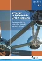 Synergy in polycentric urban regions: Complementarity, organising capacity and critical mass