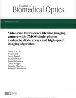 Video-rate fluorescence lifetime imaging camera with CMOS single-photon avalanche diode arrays and high-speed imaging algorithm
