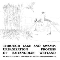 Through lake and swamp: Urbanization process of Baiyangdian wetland