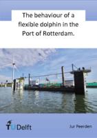 The behaviour of a flexible dolphin in the Port of Rotterdam