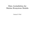 Data Assimilation for Marine Ecosystem Models