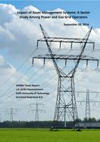 Impact of Asset Management Systems: A Sector Study Among Power and Gas Grid Operators