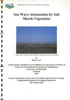 Sea Wave Attenuation by Salt Marsh Vegetation