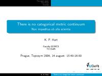 There is no categorical metric continuum