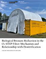 Biological Bromate Reduction in the O3 -STEP Filter: Mechanism and Relationship with Denitrification