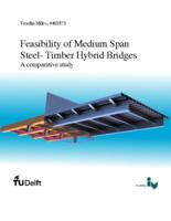 Feasibility of Medium Span Steel-Timber Hybrid Bridges