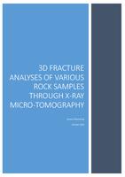 3D fracture analyses of various rock samples through x-ray micro-tomography