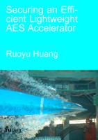 Securing an Efficient Lightweight AES Accelerator
