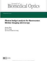 Photon budget analysis for fluorescence lifetime imaging microscopy