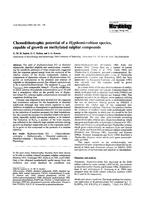 Chemolithotrophic potential of a Hyphomicrobium species, capable of growth on methylated sulphur compounds
