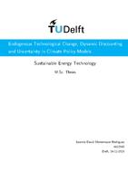 Endogenous technological change, dynamic discounting and uncertainty in climate policy models