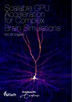 Scalable GPU Acceleration for Complex Brain Simulations