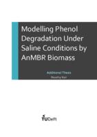 Modelling Phenol Degradation Under Saline Conditions by AnMBR Biomass 