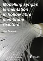 Modelling syngas fermentation in hollow fibre membrane reactors