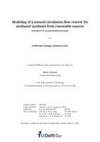Modeling of a natural circulation flow reactor for methanol synthesis from renewable sources