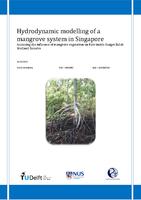 Hydrodynamic modelling of a mangrove system in Singapore