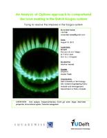 An Analysis-of-Options approach to comprehend decision making in the Dutch biogas system