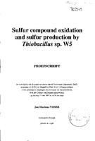 Sulfur compound oxidation and sulfur production by Thiobacillus sp. W5
