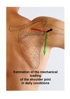 Estimation of the mechanical loading of the shoulder joint in daily conditions