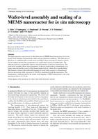 Wafer-level assembly and sealing of a MEMS nanoreactor for in situ microscopy