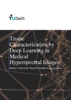 Tissue Characterization by Deep Learning in Medical Hyperspectral Images 