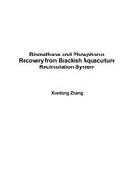 Biomethane and Phosphorus Recovery from Brackish Aquaculture Recirculation System