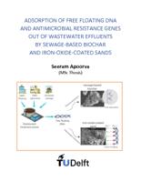 Adsorption of free floating DNA and antimicrobial resistance genes out of wastewater effluents by sewage-based biochar and iron-oxide-coated sands