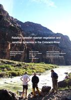 Relation between vegetation and sandbar dynamics in the Colorado River