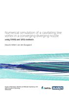 Numerical simulation of a cavitating line vortex in a converging-diverging nozzle
